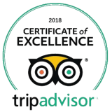 a close up of a logo